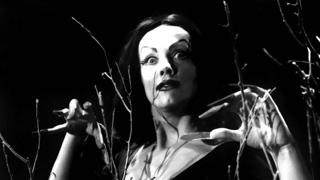 Bad Horror Movies You Should Watch Anyway - Plan 9 - Vampira