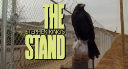 The Stand